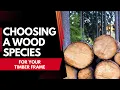 Choosing a Wood Species for your Timber Frame