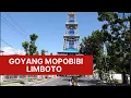 Download Lagu GOYANG MOPOBIBI LIMBOTO