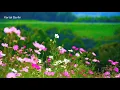 Download Lagu Shania Yan - Cover - Nothing's Gonna Change My Love For You Lyrics #shaniayan #georgebenson