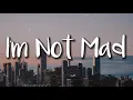 Download Lagu Halsey - Im Not Mad (Lyrics)