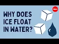 Download Lagu Why does ice float in water? - George Zaidan and Charles Morton
