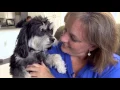 Lake Haven Rescue