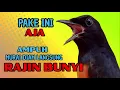 Lagu pancingan murai batu AGAR BUNYI jitu untuk JADIKAN murai batu GACOR EMOSI❗