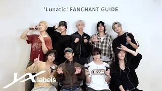 TEAM Lunatic Fanchant Guide 