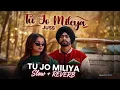 Tu Jo Mileya - Juss (Slowed + Reverb) | 8D Lofi | Trending Punjabi Song 2026. Slowed By Dani