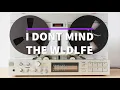 Download Lagu No Copyright Song - Chill Music | I Don't Mind - The Wldlfe