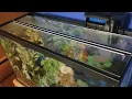 Top Fin Hates Versa Tops
