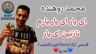 محمد روهنده ای یار ای یار یارم نازنین ای یار                   دندنها