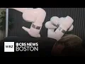 Boston spa using AI robots to give people customized massages