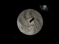CYGNUS X - THE ORANGE THEME - ORIGINAL MIX