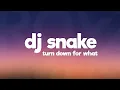 Download Lagu DJ Snake, Lil Jon - Turn Down for What (Lyrics)