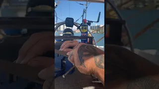 How disciplined you need to be? Is there time for others?You need to be focused? #sailing #sailboat