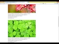 Wordpress Bangla Tutorials Lesson 9 Comment