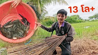 ใส่เบ็ดน้ำใหม่ หมายนี้น้ำเพิ่งมา ปลากินจัดๆ คนเดียว 13 โลบวก