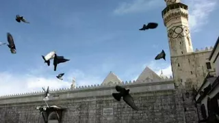 لا لا ولا لا يابا لالا    شامية بين رجالها   دندنها