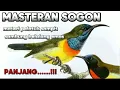 Download Lagu MASTERAN SOGON MATERI PELATUK SAMPIT SAMBUNG BELALANG EMAS AMPUH