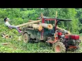 Download Lagu Agricultural vehicles, transporting wood with familiar skills of 2 highland girls#agricultural#truck