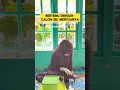 Download Lagu momen lucu ketika pacar pertama kali main ke rumah cowok nya ‼️‼️ #ngakak #lucu #pacaran #pacar
