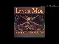 Lynch Mob - Through These Eyes