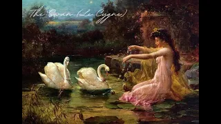 Saint Saens The Swan Le Cygne With Rain 1 Hour Study Sleep Relax 