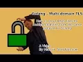 Golang - for multiple domains and redirect from http