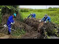 Download Lagu Cleaning the Overgrown Sidewalk: Uncovering Hidden Secrets Underneath | Clean Up