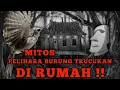 Download Lagu Mitos trucukan | mitos pelihara burung trucukan di rumah