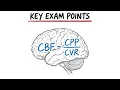 Key Exam Points CBF Determinants Neonatal Physiology