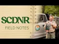 SCDNR Field Notes Trout for Tomorrow