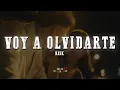 Download Lagu Reik - Voy A Olvidarte (Letra)
