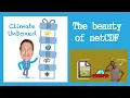 The Beauty of NetCDF
