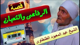 الشيخ عبد المعبود الطنطاوى قصة الرفاعى والثعبان 