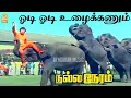 Download Lagu Odi Odi Uzhaikkum - Video Song | ஓடி ஓடி உழைக்கணும் | Nalla Neram | M. G. Ramachandran | K R. Vijaya