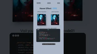 Amazing CSS Hover Effects Transitions Easy Tutorial - Stunning Web Animations