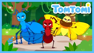 new venomous insects we are scary insects insect song for kids nursery rhymes tomtomi