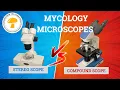 Microscopes in Mycology Stereo vs Compound microscopes