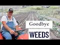 You Don t Have to Hoe or Rototiller Anymore - Here s What We Do Instead