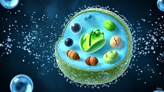 الاهمية البيولوجية للماء الدرس الخامس ترم اول علوم متكامله 2026 