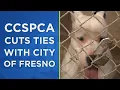 No more picking up stray animals CCSPCA to focus on vet services instead