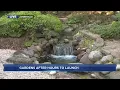 Rotary Botanical Gardens launches new summer series Gardens After Hours
