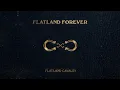 Flatland Cavalry - One I Want (Official Audio)