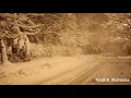 Wael Kfoury - ليكي برا جنون البرد - Corniche Sawfar Lebanon