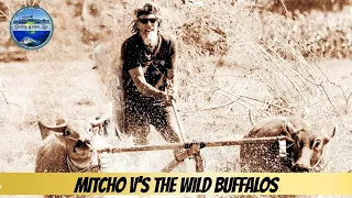 Mitcho vs The Wild Buffalos in Badas, Indo – Eps 70