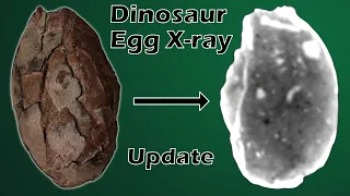 Dinosaur egg X-ray update