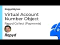 Rapyd Bytes Virtual Account Number Object