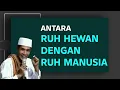 Download Lagu KH. MUKHLASON ROSYID💥ANTARA RUH HEWAN DENGAN RUH MANUSIA