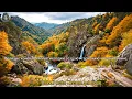 Lagu Музыка Для Души ,,ХРУСТАЛЬНЫЕ СЛЁЗЫ ОСЕНИ,, Музыка Сергей Грищук