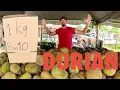 Download Lagu 10 Ringgit Durian Kampong 🇲🇾  Batu Pahat Malaysia