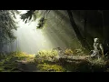 Download Lagu Forest ... and Shattered Hero