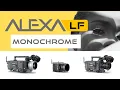 Download Lagu WHY? ARRI Alexa Monochrome!